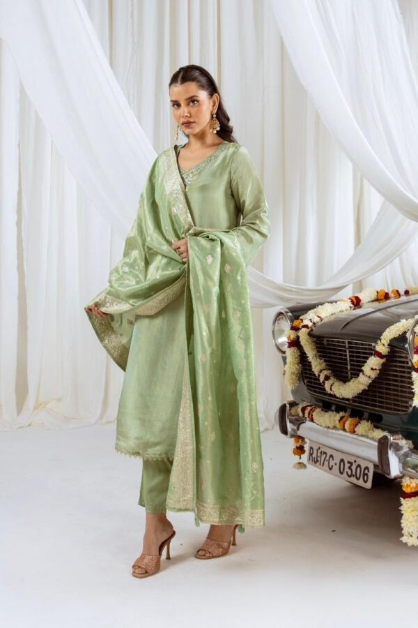 Premium Shimmer Tissue Straight Kurta