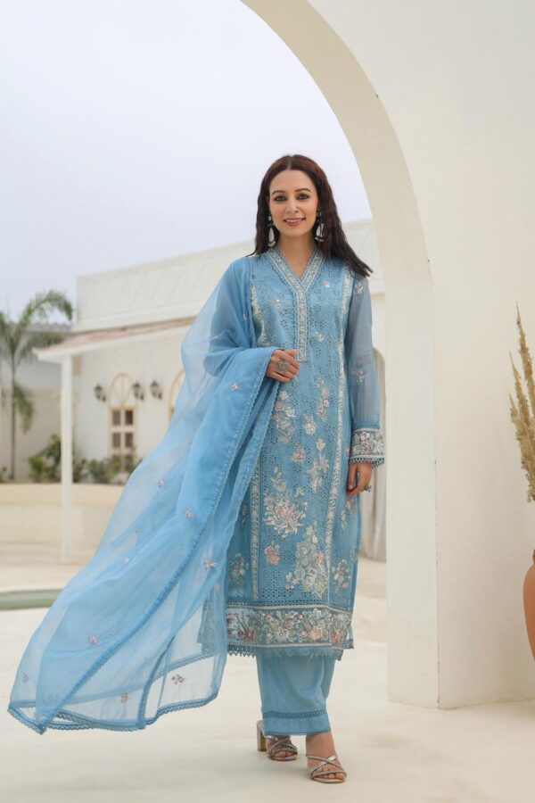 Festive Premium Gold Crush Fabric Suit - Image 4