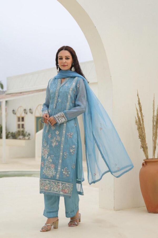 Festive Premium Gold Crush Fabric Suit - Image 3
