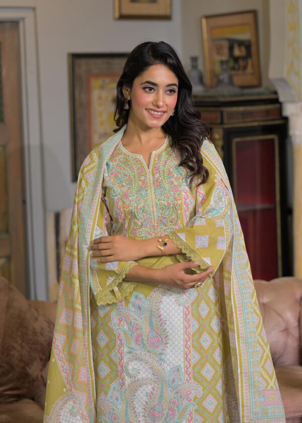 Elegant Cotton Pakistan Suit - Image 3