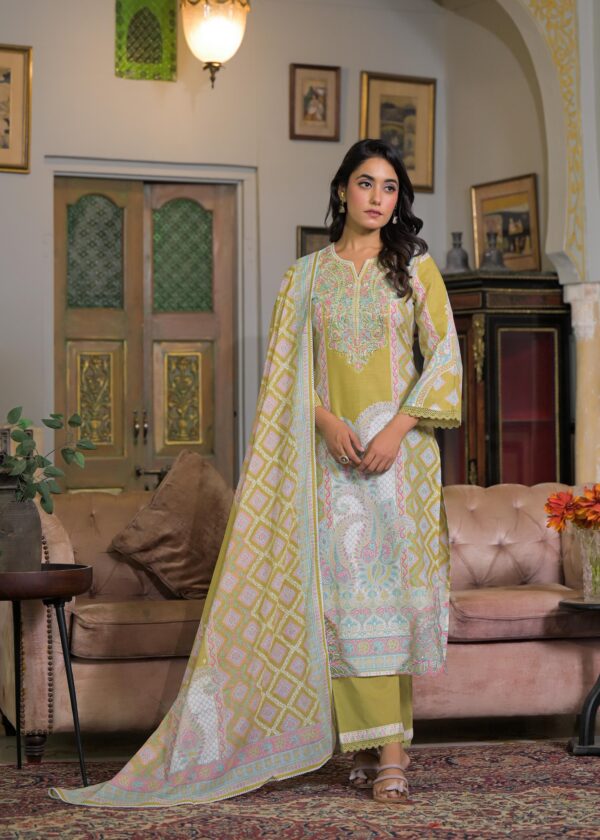 Elegant Cotton Pakistan Suit - Image 6