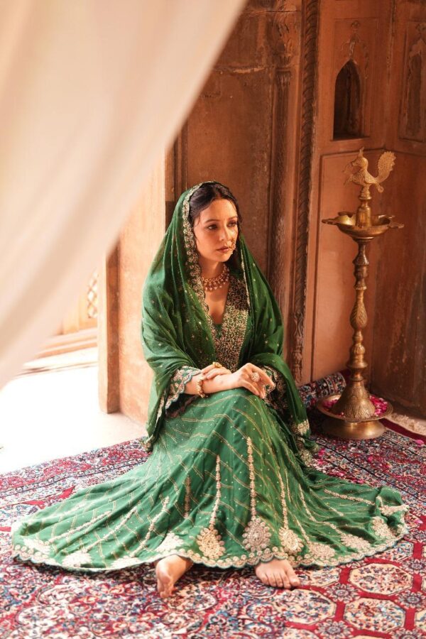 Pure Chinon  Anarkali - Image 4