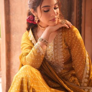 Pure Chinon  Anarkali Set