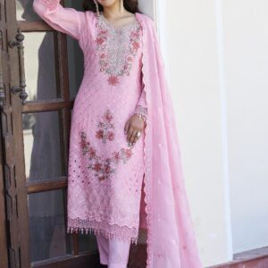 Premium Organza Designer Set