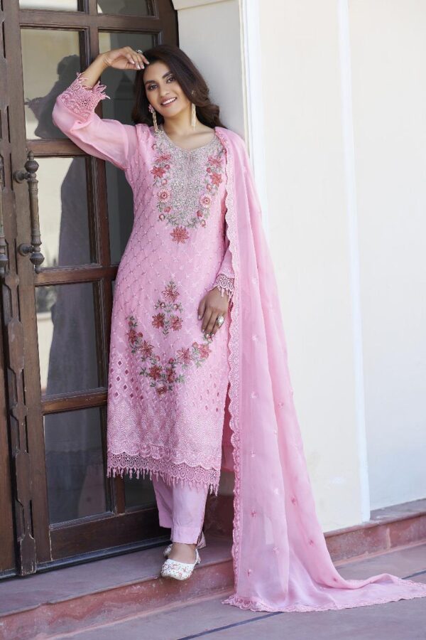Premium Organza Designer Set